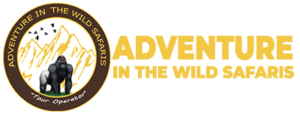 Adventure-in-the-wild-log-2 (1)
