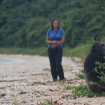 Gombe Stream National Park: The Chimpanzee Sanctuary In Tanzania