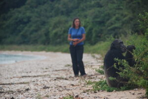 Gombe Stream National Park: The Chimpanzee Sanctuary In Tanzania