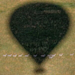 Serengeti Mara River Crossing: What to Expect and When to Go