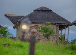 Serengeti Camping vs Lodge Safari: Pros, Cons & Costs Compared