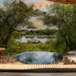 Best Lodges in Serengeti National Park: Luxury to Budget Options