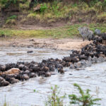 How Long Should You Spend in Serengeti? The Ideal Safari Duration